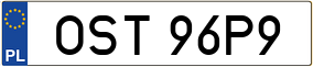 Trailer License Plate